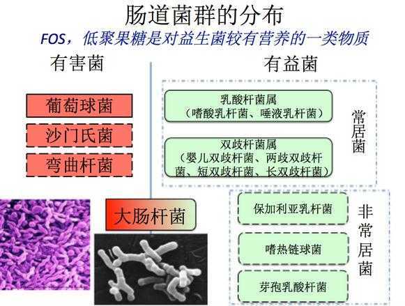 宽客网,量化投资,宽客俱乐部