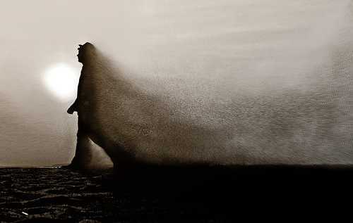 车品觉&mdash;&mdash;忘掉大数据