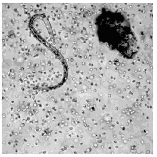 宽客网,量化投资,宽客俱乐部