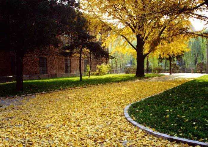 宽客网,量化投资,宽客俱乐部