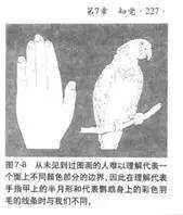 色彩的数学规则1