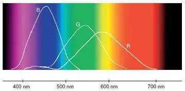 宽客网,量化投资,宽客俱乐部