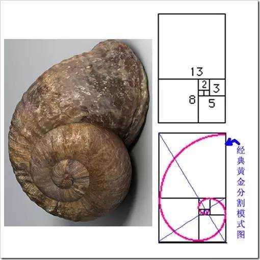 宽客网,量化投资,宽客俱乐部
