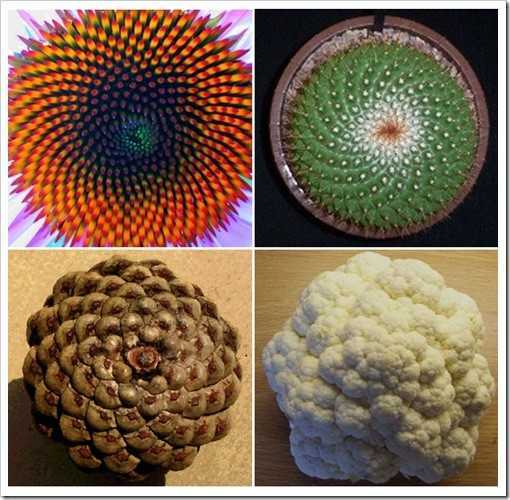 宽客网,量化投资,宽客俱乐部