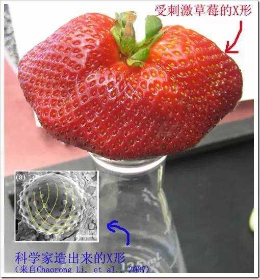 宽客网,量化投资,宽客俱乐部