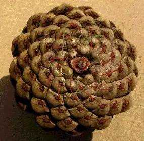 宽客网,量化投资,宽客俱乐部