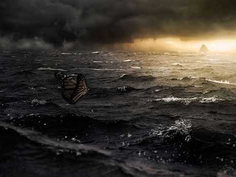 宽客网,量化投资,宽客俱乐部